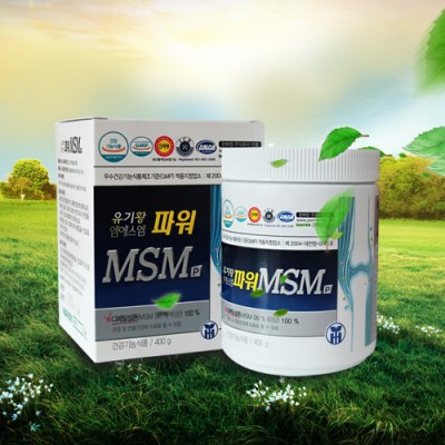 파워MSM400g